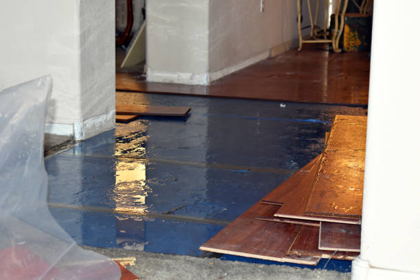 Professional Water Damage Restoration technician working in Brownsville, MN